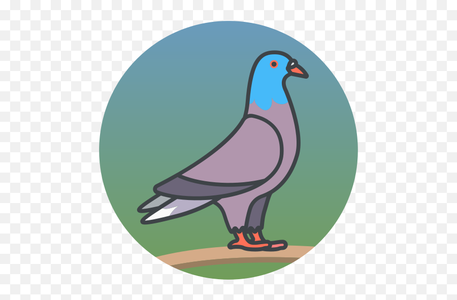 Bird Dove Animal Wildlife Free Icon - Iconiconscom Gambar Burung Merpati Ilustrasi Png,Wildlife Icon