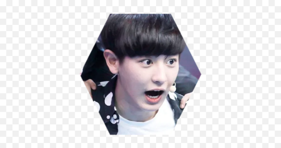 Chanyeol By You - Sticker Maker For Whatsapp Png,Chanyeol Icon