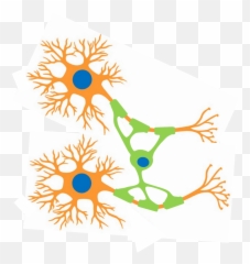 Team - Adams Lab Png,Icon Instrumental