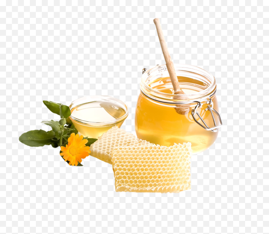 Honey Png Image - Purepng Free Transparent Cc0 Png Image Growing Roses With Potatoes And Honey,Honey Transparent