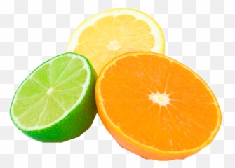 Citrus Fruit Png Images Transparent Background Play - Transparent Citrus Fruits Png,Orange Fruit Png