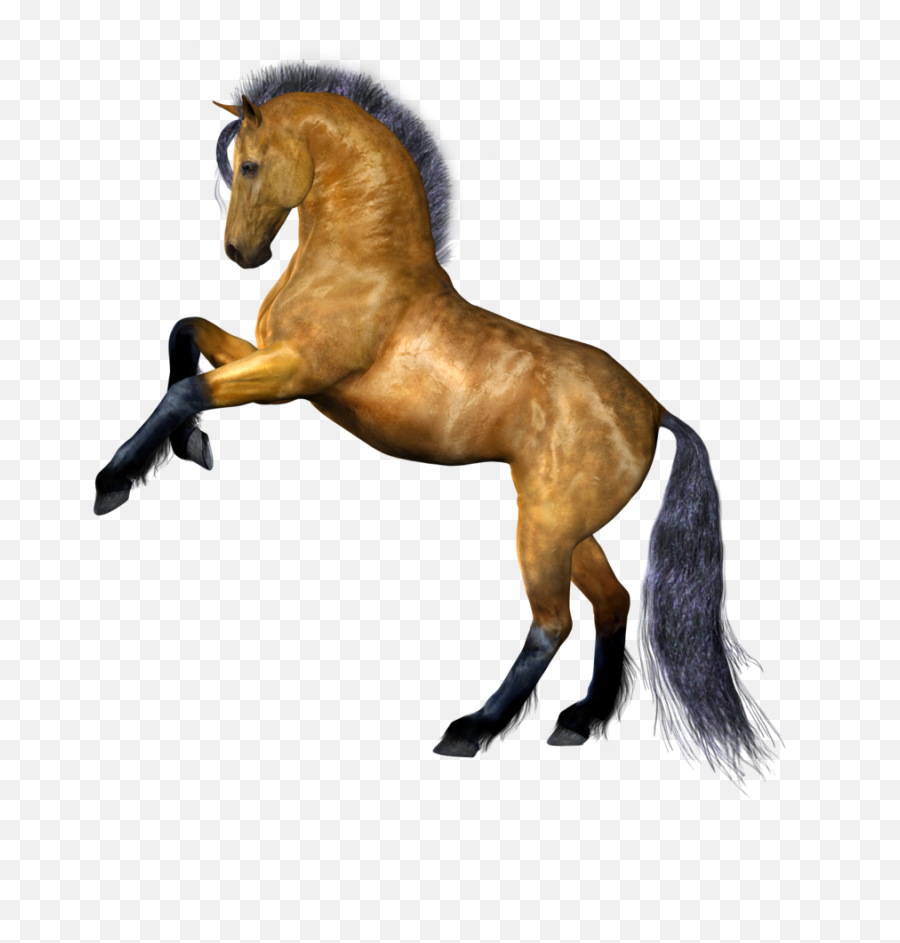 Clipart Png Horse Best - Transparent Background Horse,Horse Clipart Png