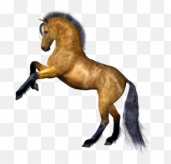 Clipart Png Horse Best - Transparent Background Horse,Horse Clipart Png