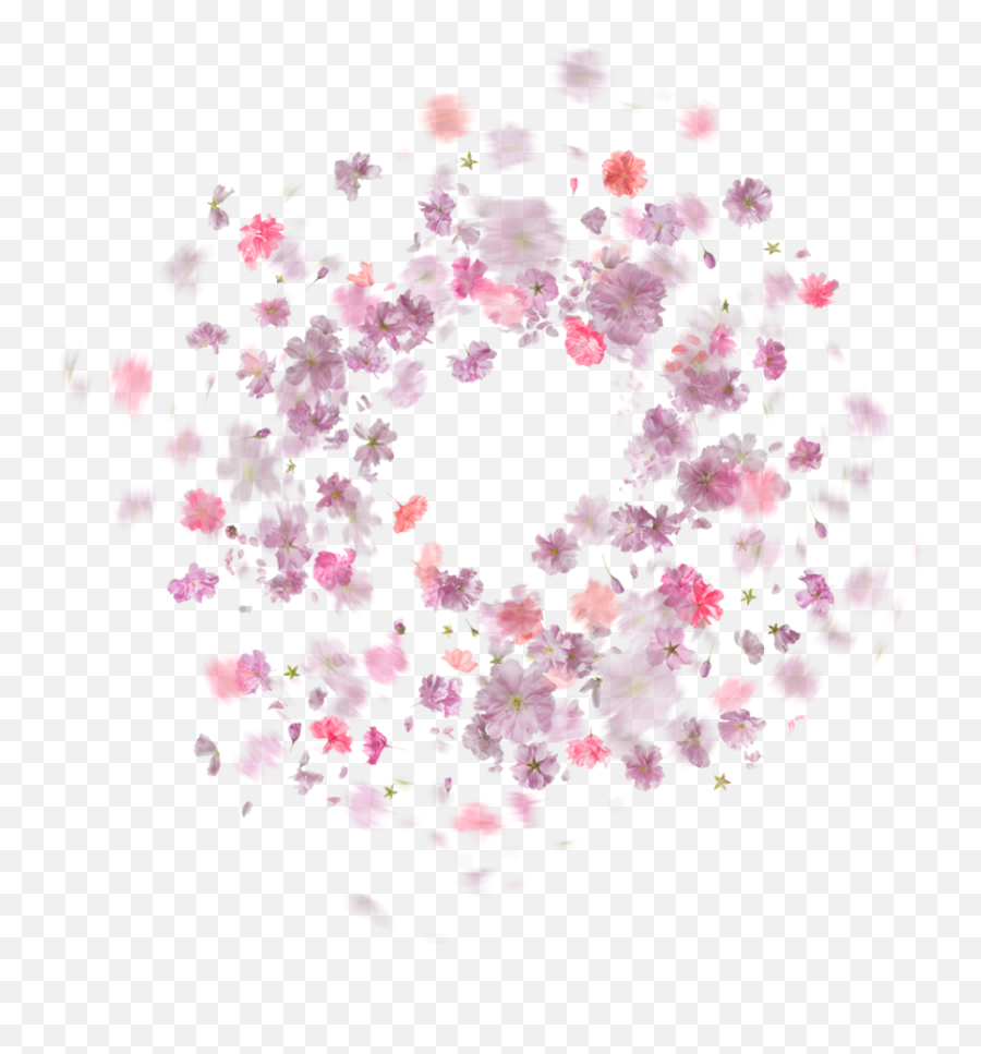 Falling Rose Petals Png Transparent - Pocsart Background Floral Circle,Pink Petals Png