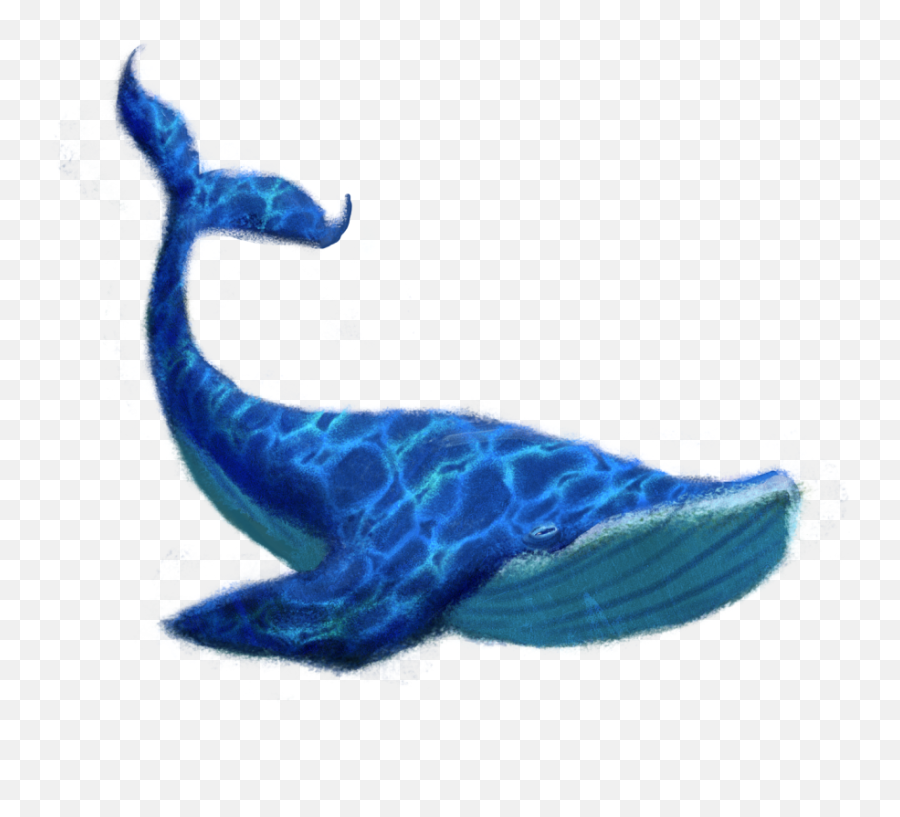 Blue Whale Png Transparent Image - Transparent Background Blue Whale Png,Whale Transparent Background