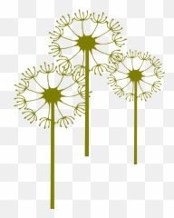 Dandelion Clipart Png - Stem