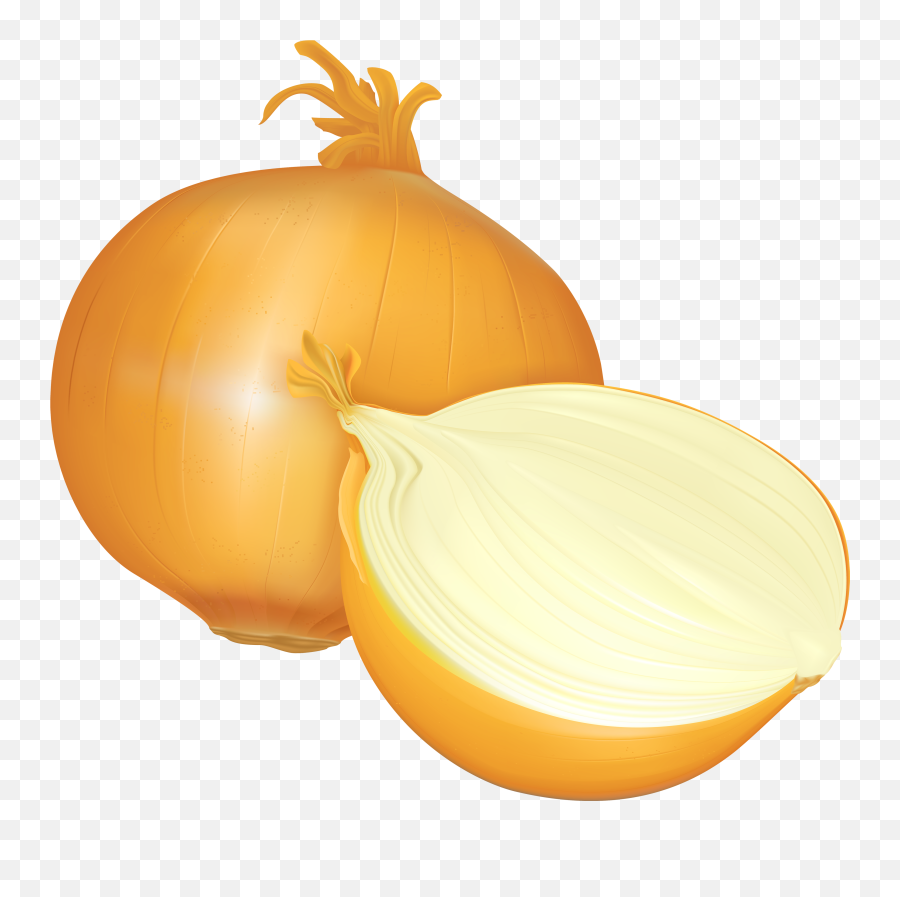 Transparent Background Onion Clipart Png