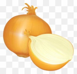 Transparent Background Onion Clipart Png