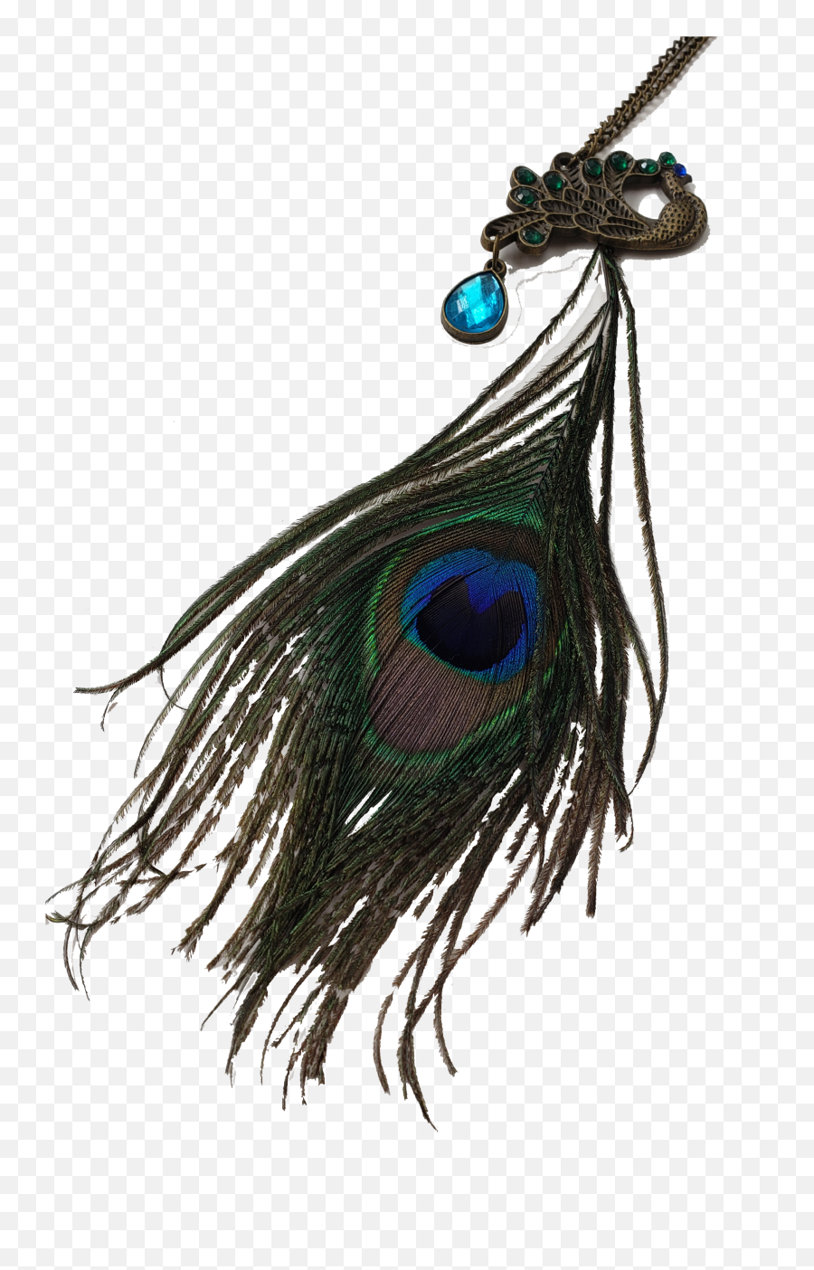 Exotica Peacock Feather Necklace - Pendant Png,Peacock Feathers Png