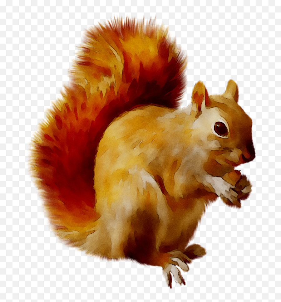 Portable Network Graphics Clip Art - Clipart Squirrel Png,Squirrel Transparent
