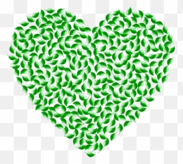 Green Heart Png Picture - Icon Of
