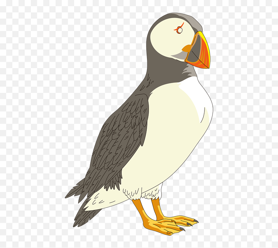 Puffin Logo Png 1 Image - Clip Art,Puffin Png