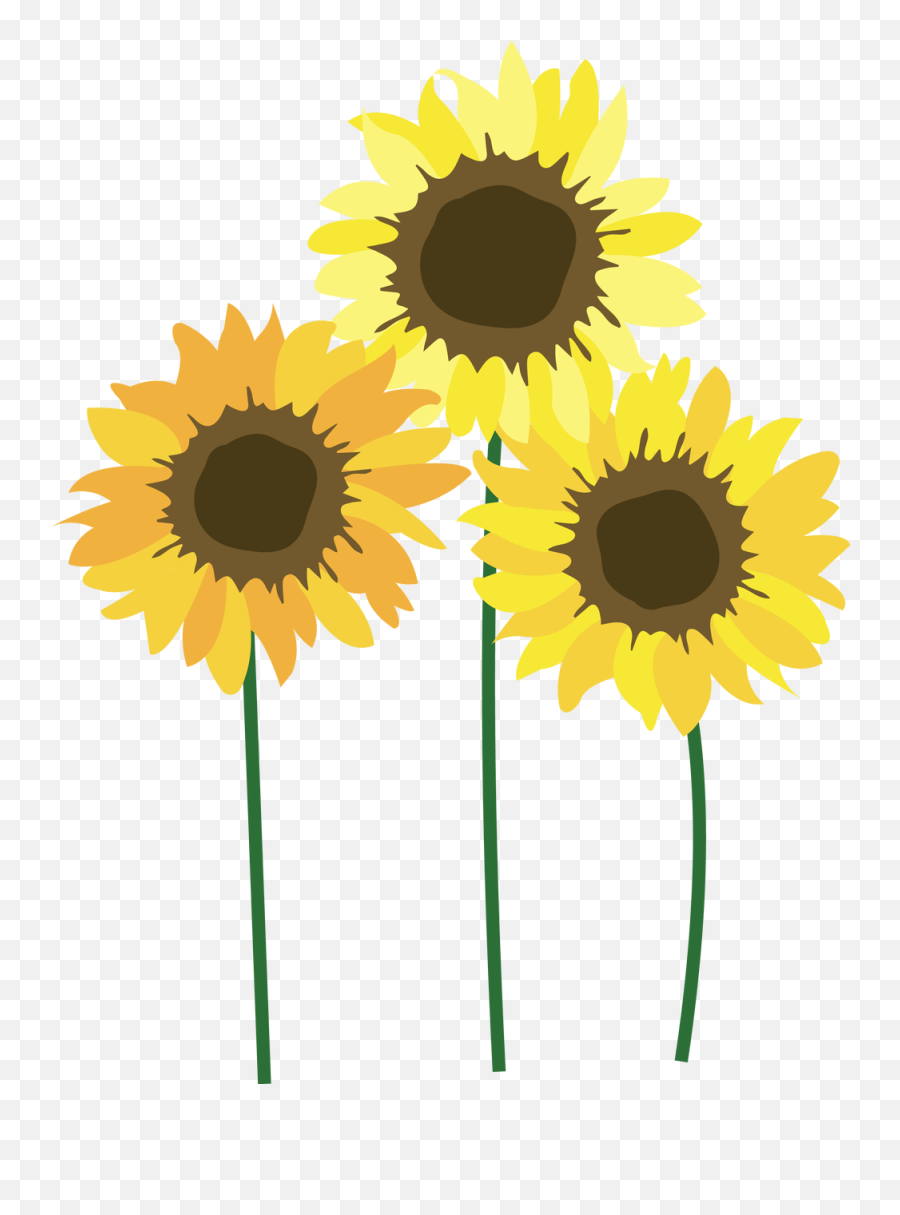 Sunflowers Png Free - Clipart Transparent Background Sunflower,Sunflower Png