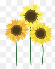 Sunflowers Png Free - Clipart Transparent Background
