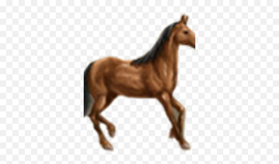 Horse Ostriv Wiki Fandom - Stallion Png,Horse Png