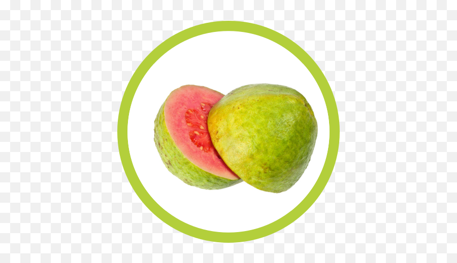 Guayaba Rosada - Durantas Sa Producción De Frutas Guava Png,Guava Png