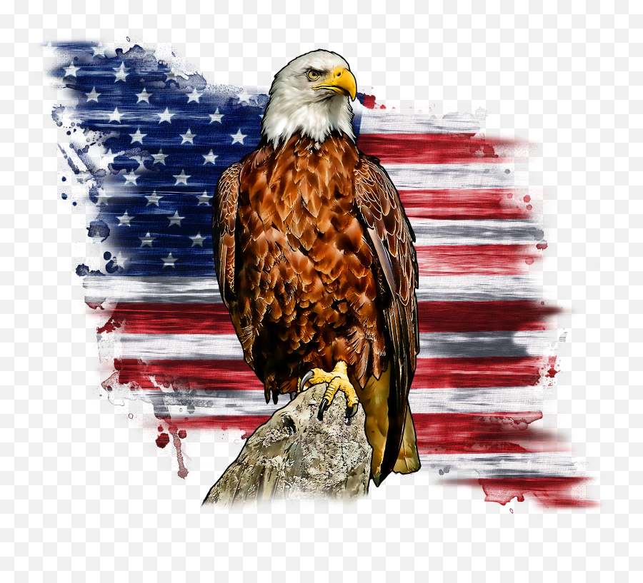 american flag eagle clip art