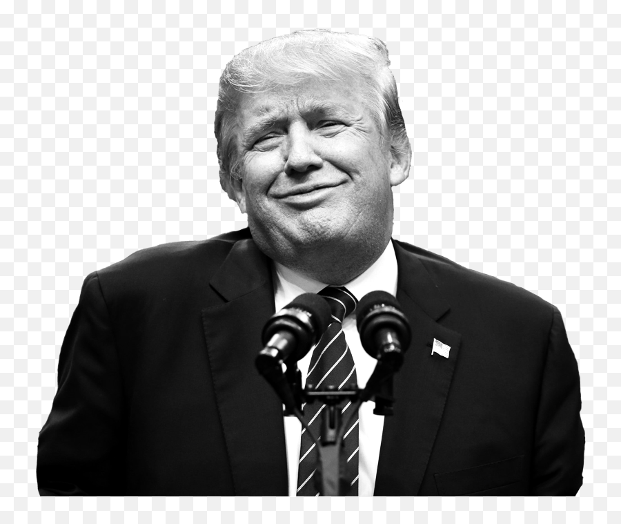 Has Trump Insulted You U2013 Take Our Quiz To Find Out Us - Trump Being Trump Png,Trump Head Transparent Background