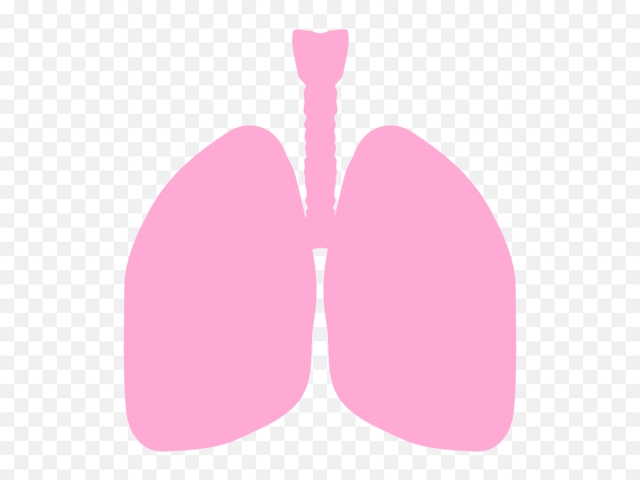 Lungs Clipart Png 3 Image - Lungs Clip Art,Lung Png