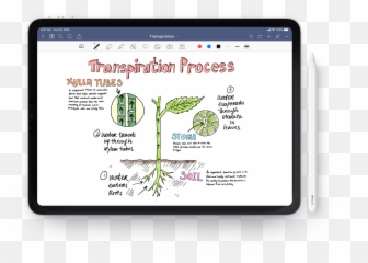 Goodnotes Homepage - Cool Notes On png