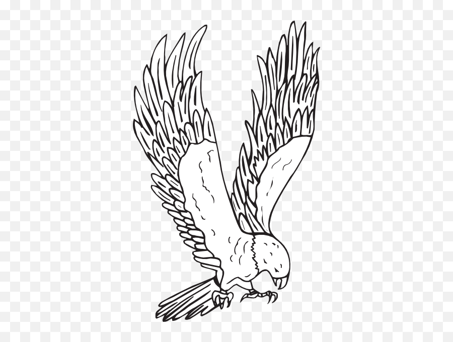 Flying Hawk Kid Png Image Clipart - Hawk Clipart Black And White,Hawk Png