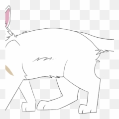 Warriors The Forgotten Generation Wiki - Cats White Eye png