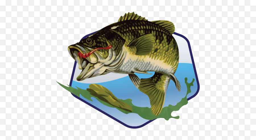 Bass Tank Merchandise - Black Bass Png,Bass Fish Logo