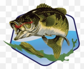 Bass Tank Merchandise - Black png