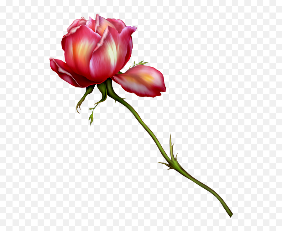 Watercolor Flowers Rose - Free Image On Pixabay Floral Runderahmen Zum Speichern Kostenlos Png,Water Color Flower Png