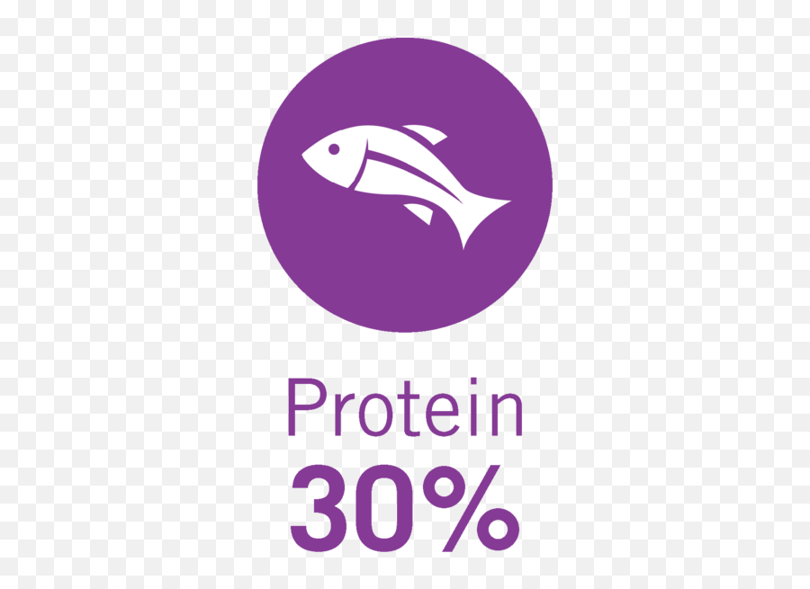 30 Png Protein