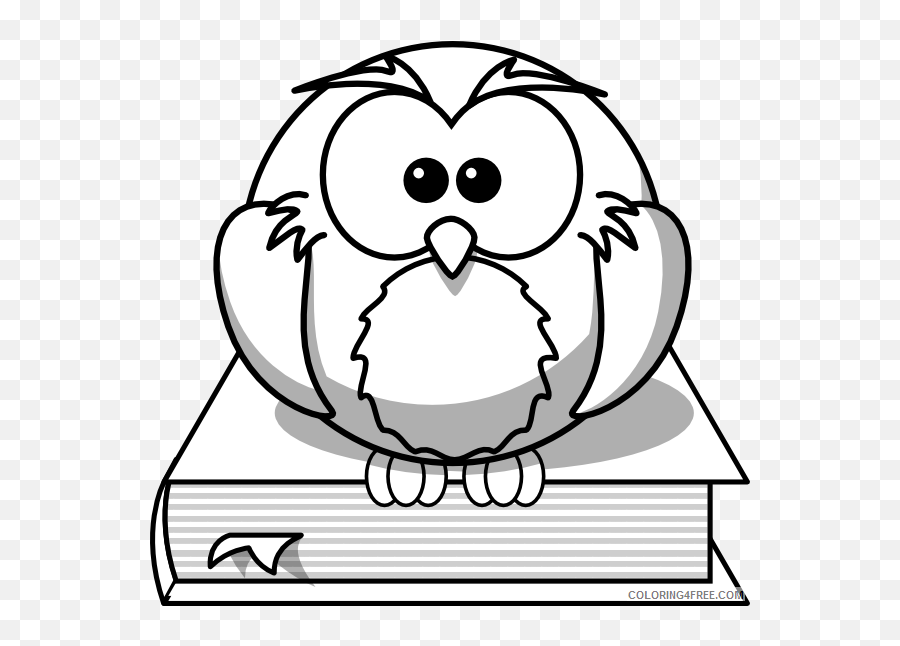 Owl Outline Coloring Pages - Education Cartoon With Books Png,Book Outline Png