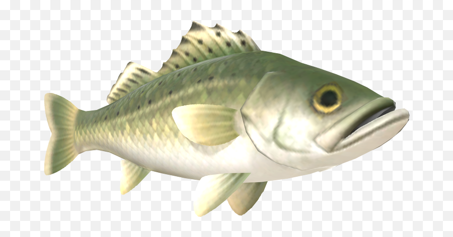 Nintendo Switch - Animal Crossing New Horizons Sea Bass Bass Png,Largemouth Bass Png