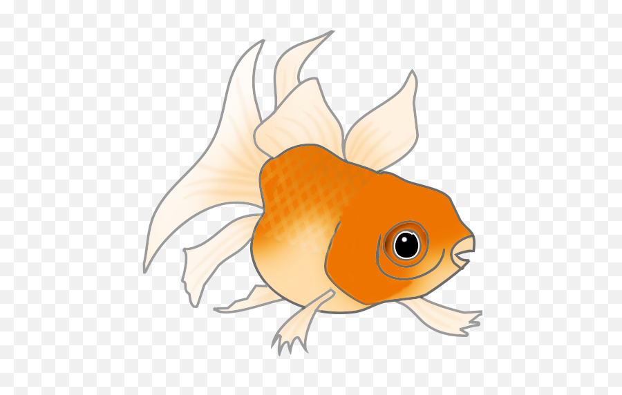 Download Orange Cat Fish - Cartoon Png,Fish Clipart Transparent