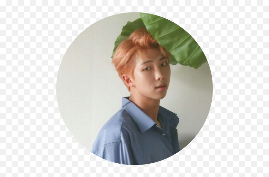 Namjoon Rm Bts Loveyourselfher Kpop Sticker By Chimchim1220 - Kim Namjoon Tumblr Aesthetic Png,Namjoon Icon