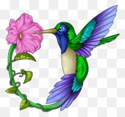 Hummingbird Tattoos Free Download Png All - Hummingbird And Flower Drawing,Humming Bird Png