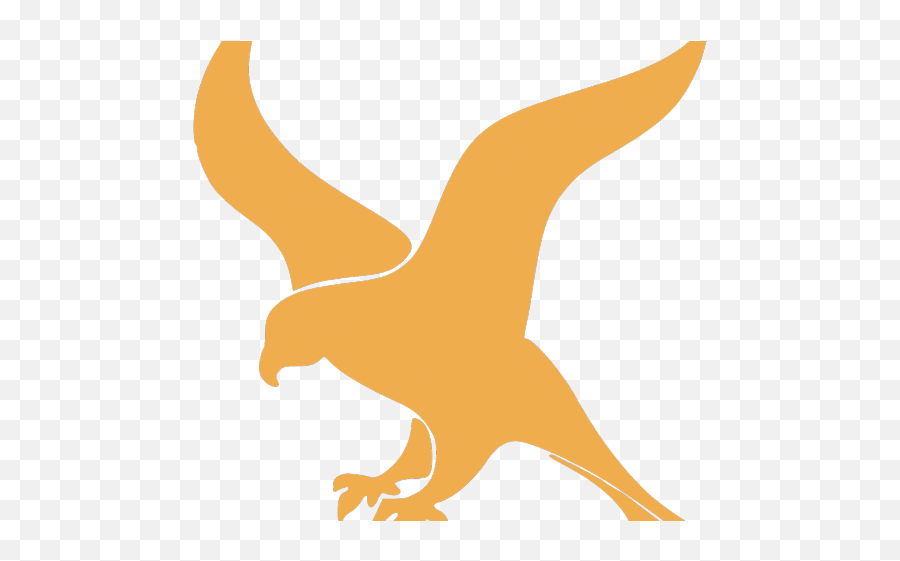 Bird Clipart Falcons - Minimalist Falcon Png Download Falcon Python Logo,Falcons Png