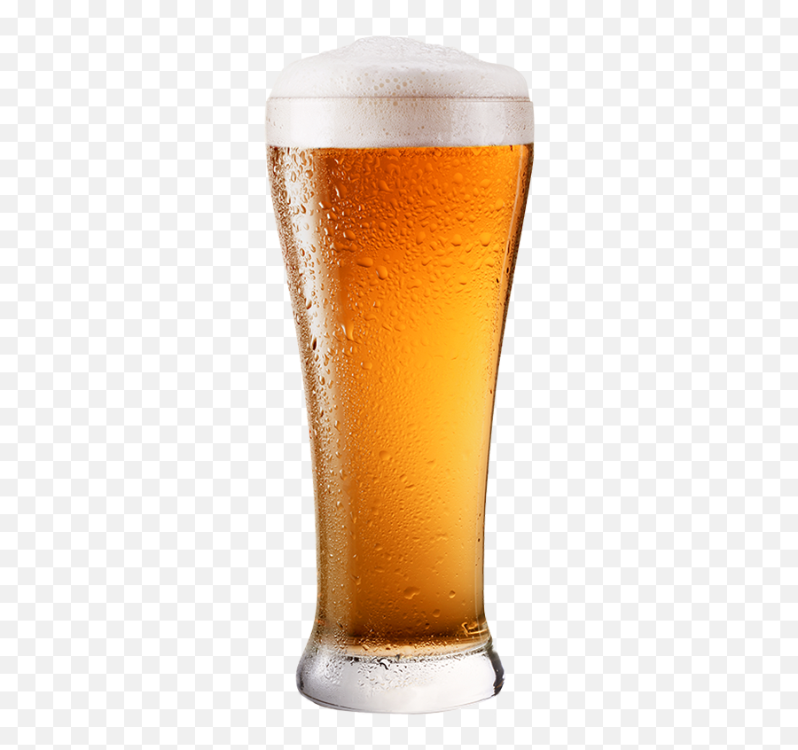 We All Love Beer - Glassware Tall Glass Of Beer Png,Beer Transparent Background