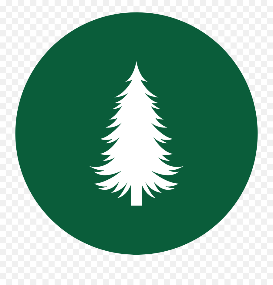 Flea Control Parrish Fl 941 - 7296564 Boreal Conifer Png,Cedar Tree Icon