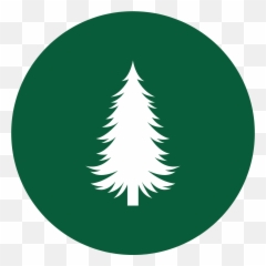 Flea Control Parrish Fl 941 - 7296564 Boreal Conifer png