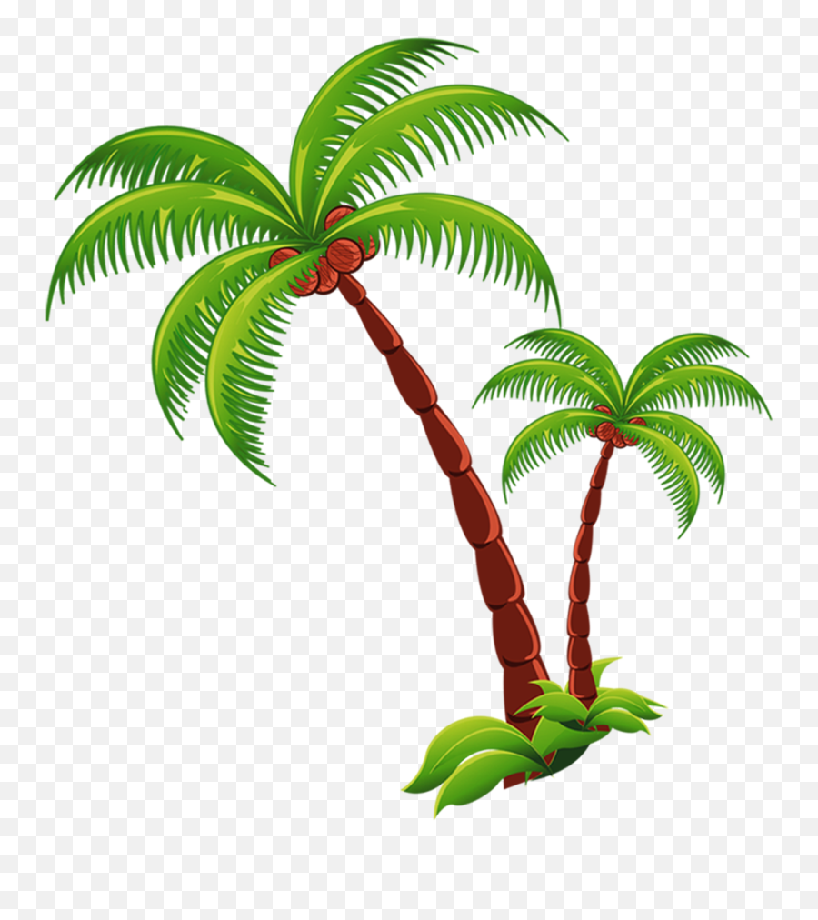 Coconut Tree Png Download - Coconut Tree Transparent Png,Coconut Png