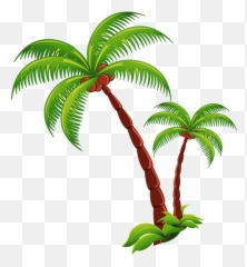 Coconut Tree Png Download - Coconut Tree Transparent Png,Coconut Png