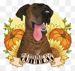Download Dobby Doodles - Dog Yawns Png,Dobby Png