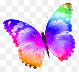 Butterfly Sticker Transparent U0026 Png Clipart Free Download - Ywd Butterfly Png Stickers,Mariposa Png