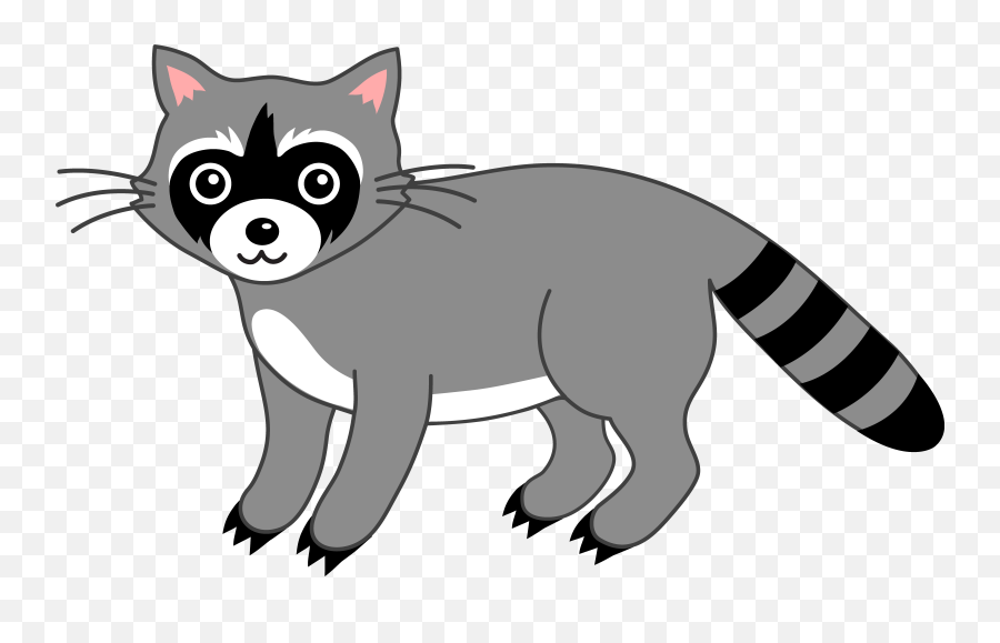 Raccoon Animal Clipart - Raccoon Clip Art Png,Raccoon Png