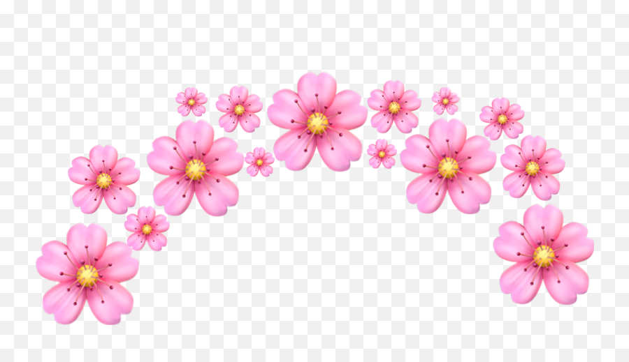 Pink Png Tumblr Transparent Petals - Flower Crown Emoji Png,Pink Petals Png