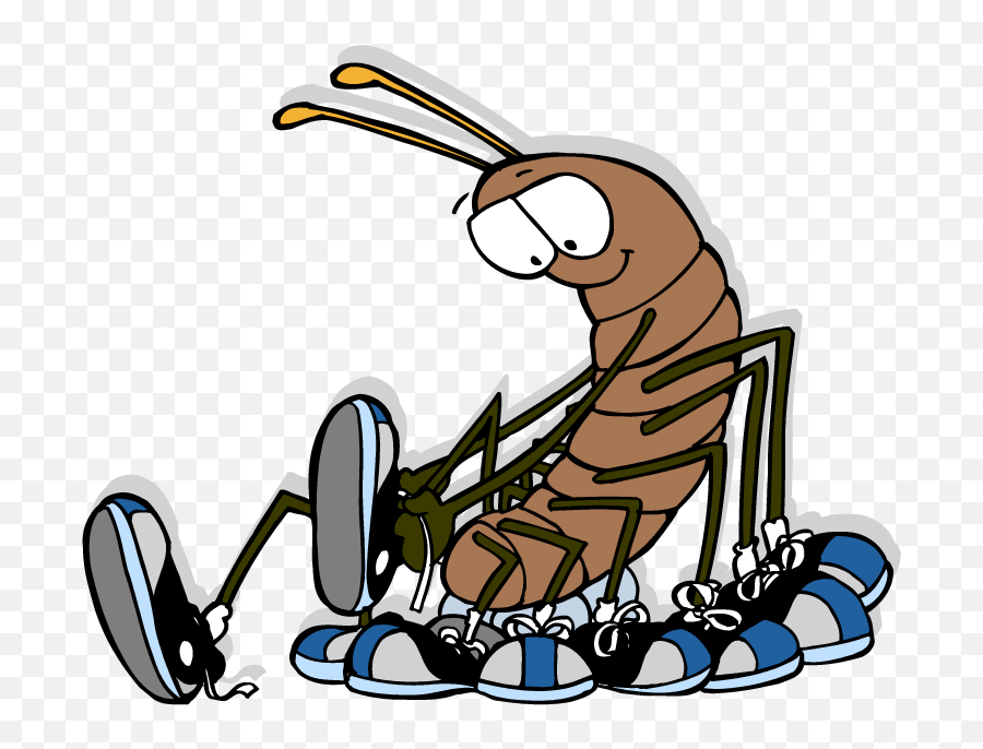 Centipede - Cartoon Centipede Wearing Shoes Clipart Full House Centipede With Shoes Png,Centipede Png