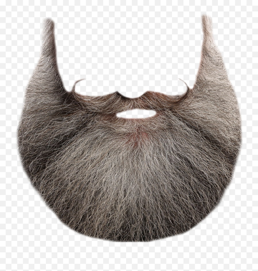 Long Wizard Beard Png Long Wizard Beard Png