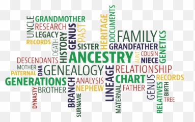 Word Cloud Search Ancestry - Genealogy Words Png,Family Word Png