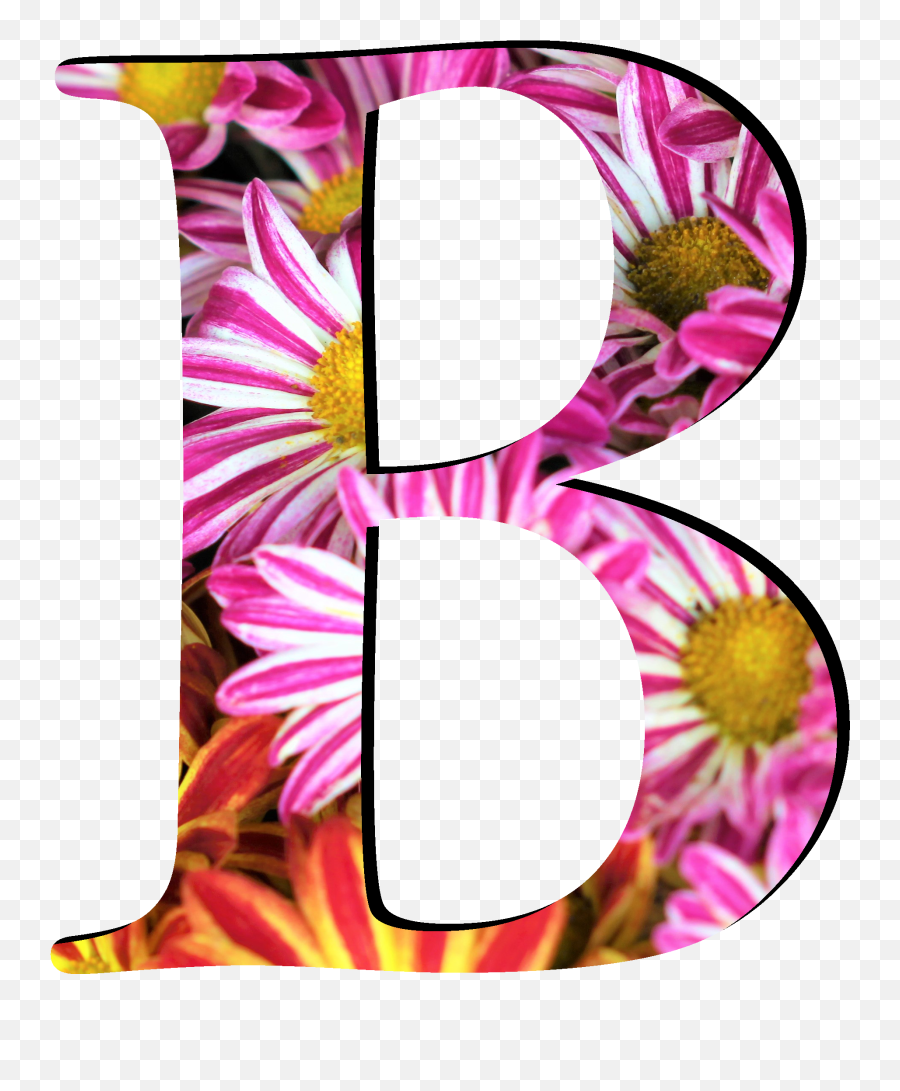 Flower Pattern Letters B - Flower Pattern Letter B Png,Letter B Png