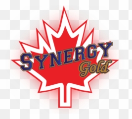 Travel Team Synergy Gold Fastpitch College Prospects - Label Png,Gold Logo